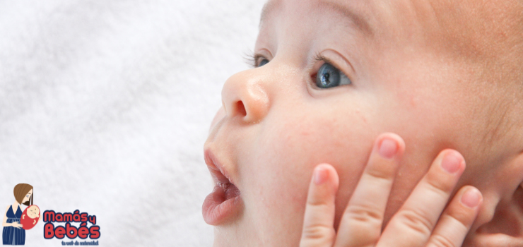 El desarrollo del lenguaje