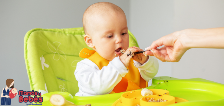 Lactancia y alimentación complementaria