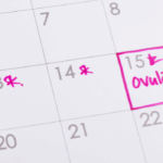 Crianza respetuosa: Educar con empatía y límites claros