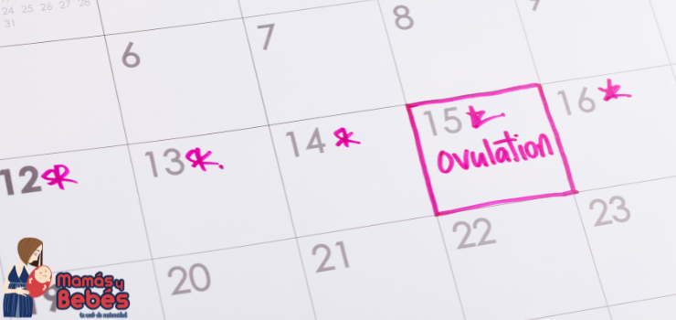 Reconociendo tus días de mayor fertilidad