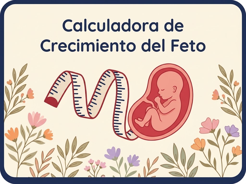 Herramienta Calculadora de crecimiento del feto
