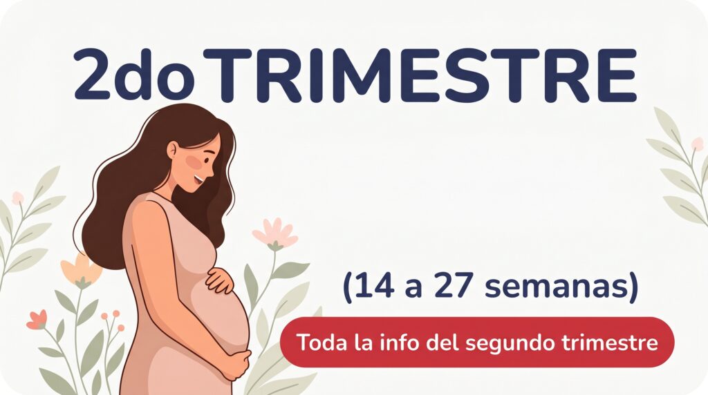 segundo trimestre