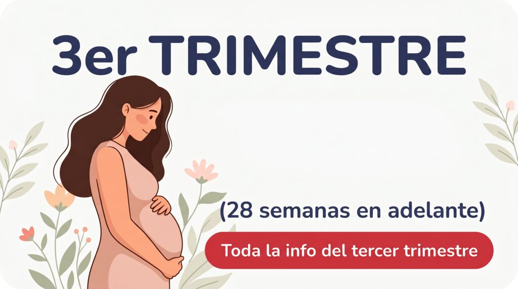 tercer trimestre