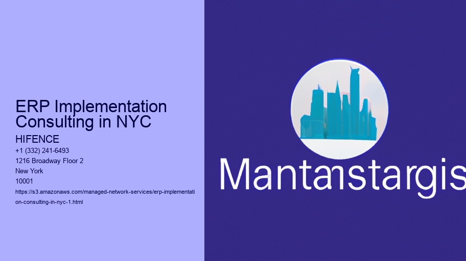 ERP Implementation Consulting in NYC