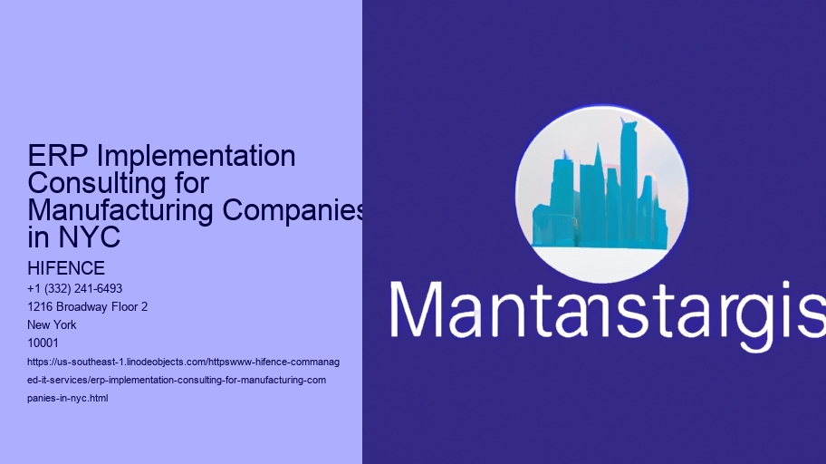 ERP Implementation Consulting for Manufacturing Companies in NYC
