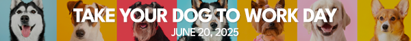 Take Your Dog To Work Day