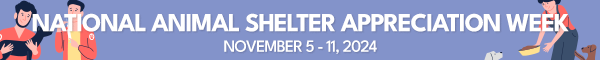 National Animal Shelter Appreciation Week November 5-11, 2024