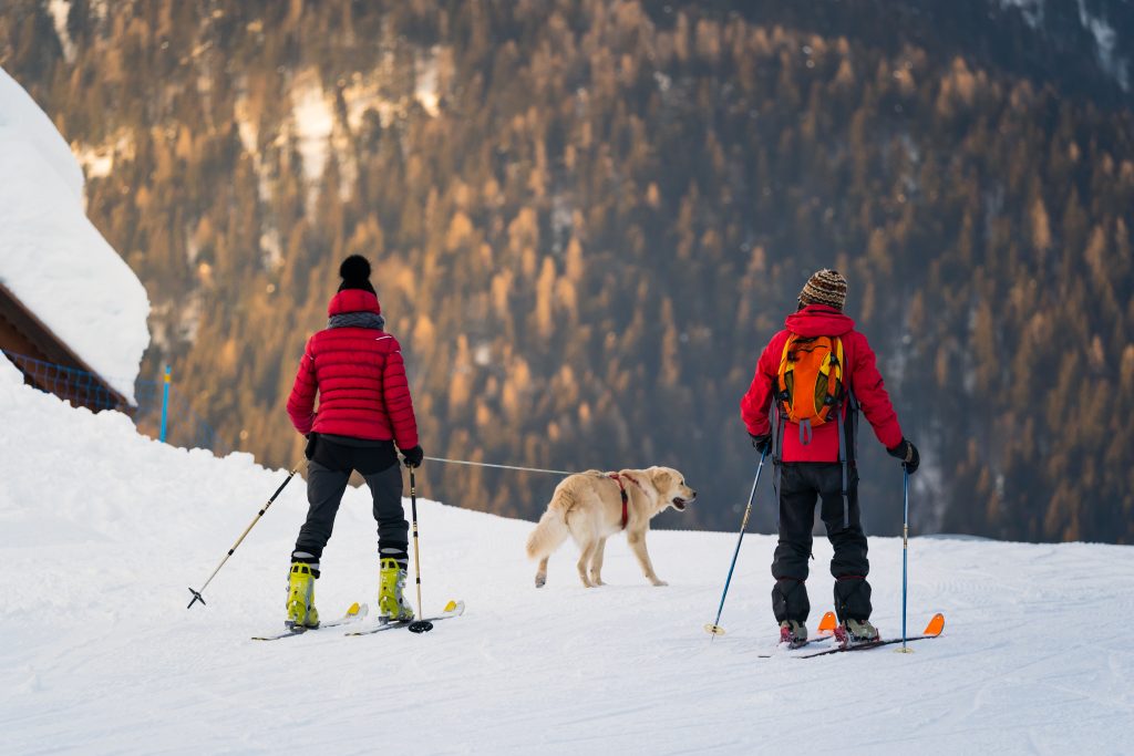 Skijoring Couple with Dog