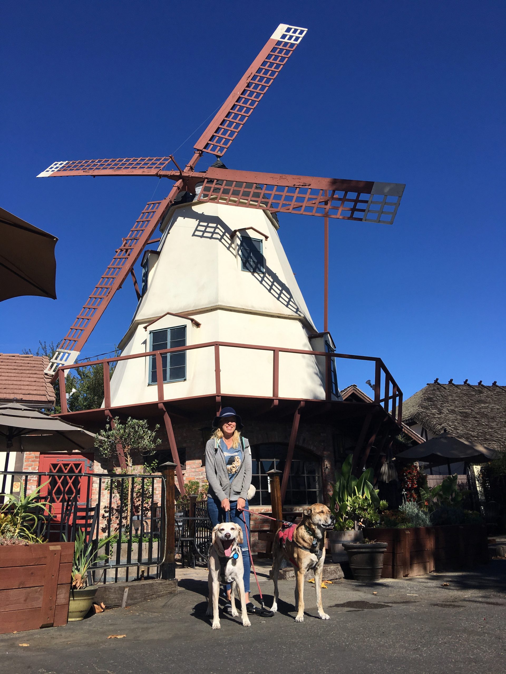 Solvang California with dogs