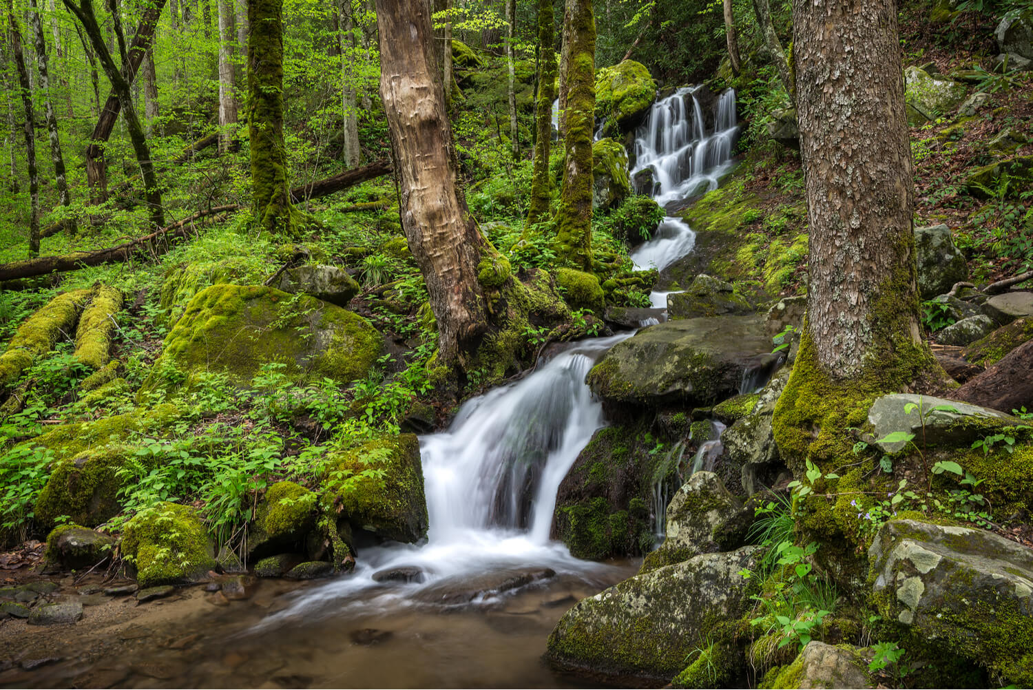 waterfalls-guide-to-rving-great-smoky-mountains-national-park-02-2022