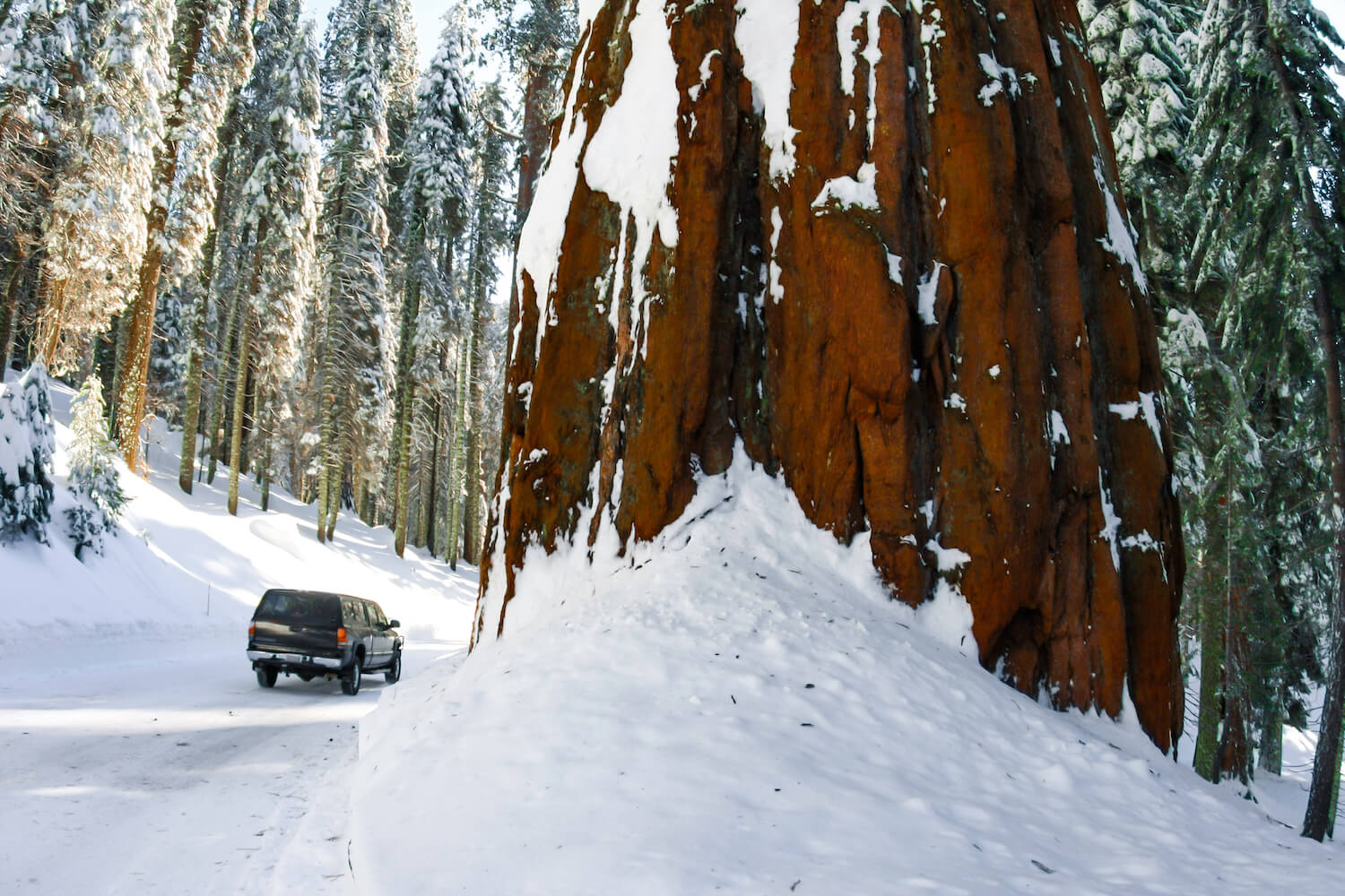 winter-guide-to-rving-sequoia-national-park-11-2022