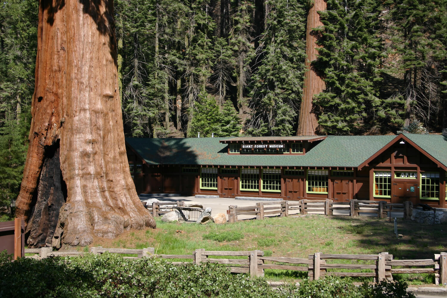 museum-guide-to-rving-sequoia-national-park-11-2022 