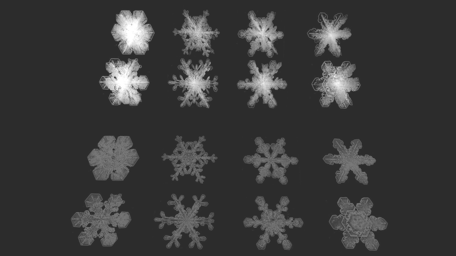 JACK FROST | Winter Asset Pack - Blender Market