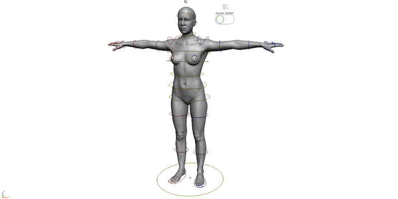 Sculptors Toolbox Basemeshes Blender女性角色绑定-CG资源网 Sculptors Toolbox Basemeshes Blender女性角色绑定