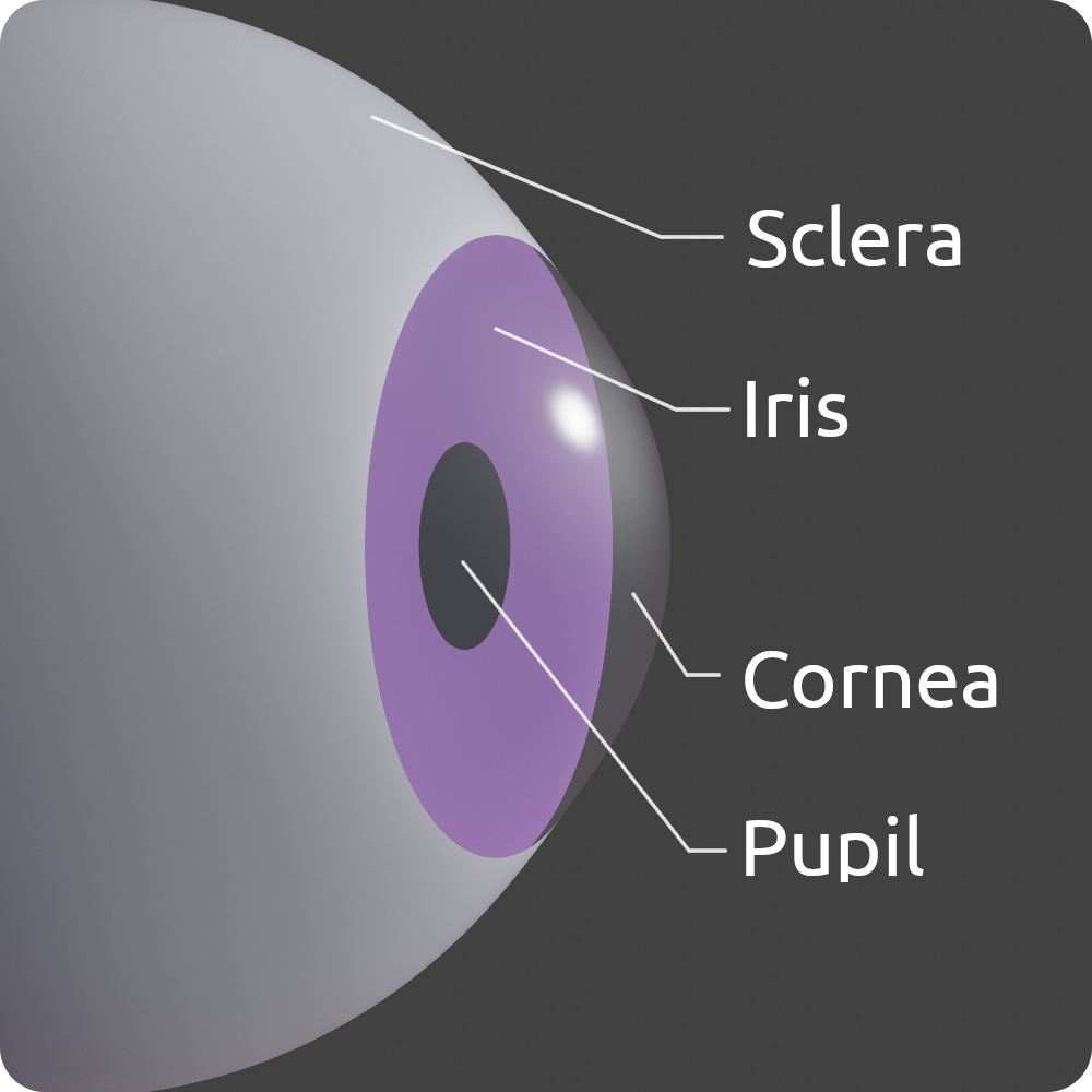 Auto Eye Blender Market