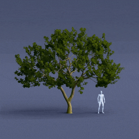 trEEVEE - ANIMATED TREES PACK - Blender Market trEEVEE - ANIMATED TREES PACK - Blender Market