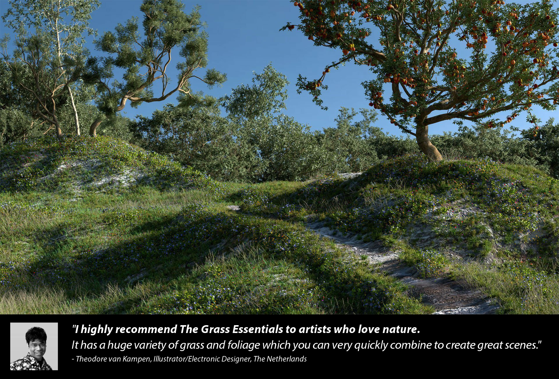 The Grass Essentials Blender Market