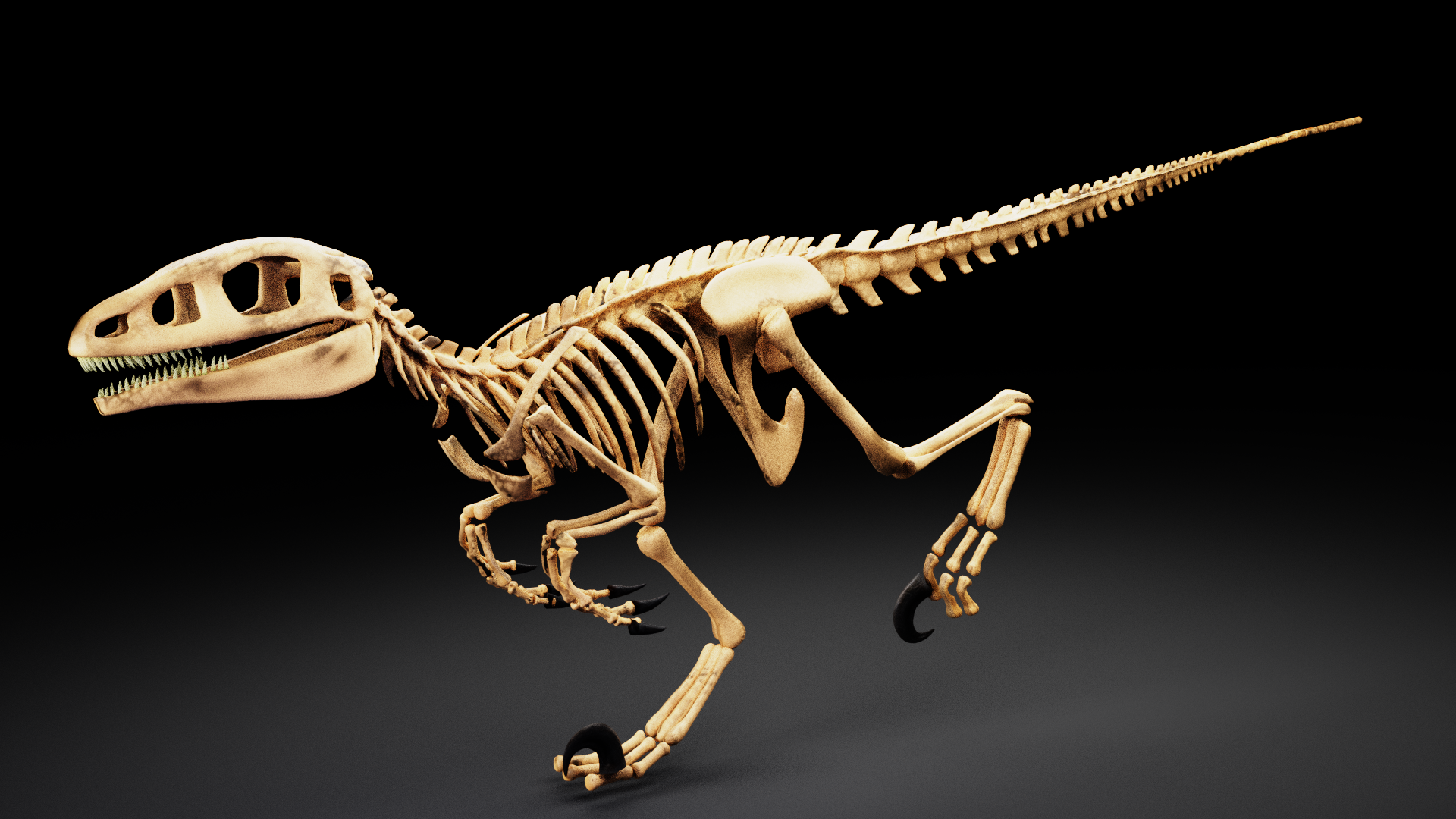 XMuscle System 3.0 Blender Market