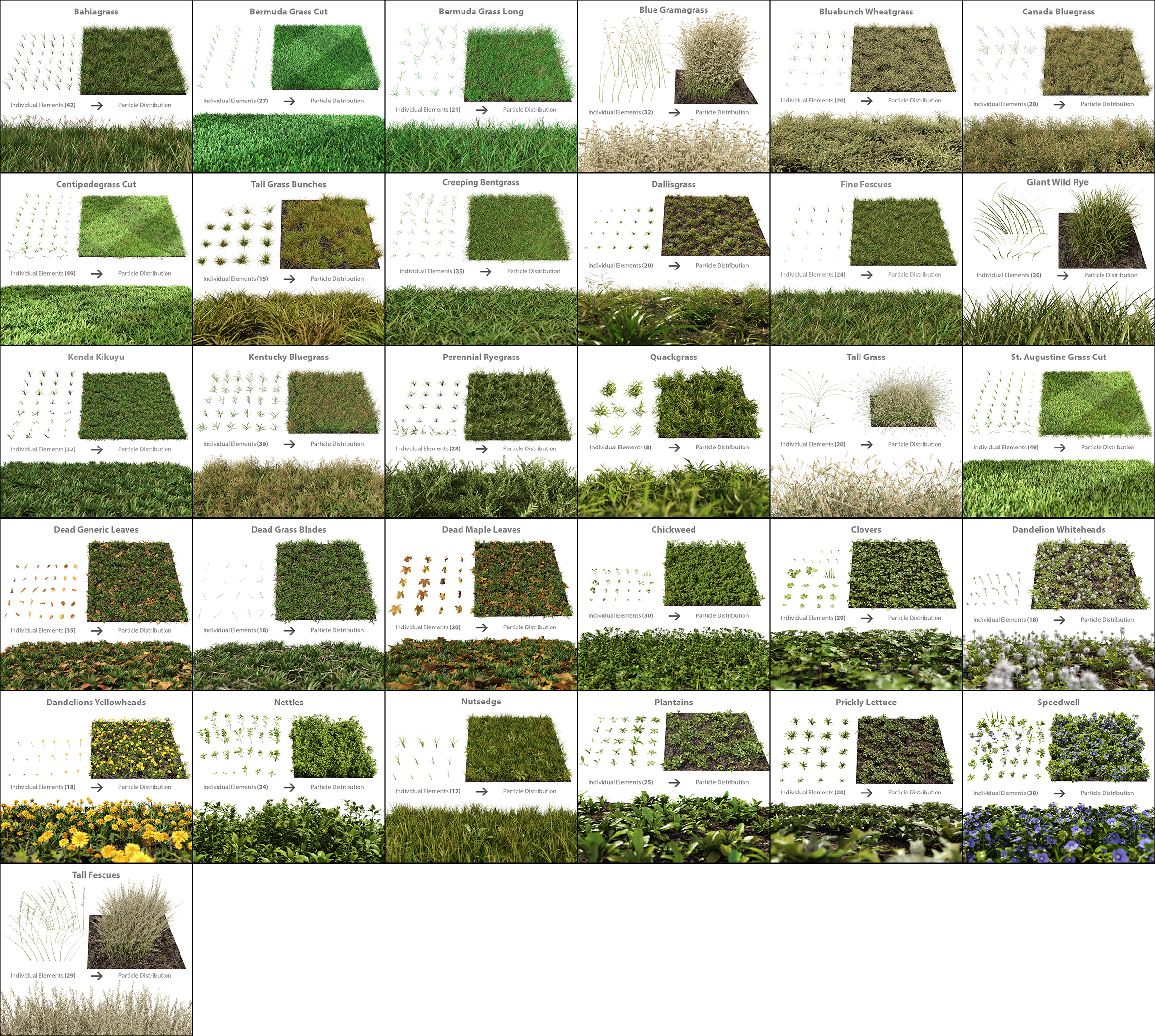 The Grass Essentials Blender MarketThe Grass Essentials Blender Market