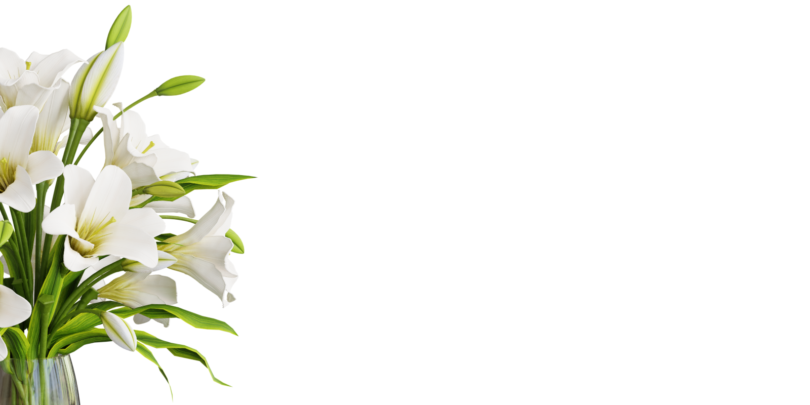 Plant - Lily (Lilium) - Superhive (formerly Blender Market)