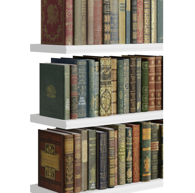Classic Books set on bookshelf (60 books) Blender Market