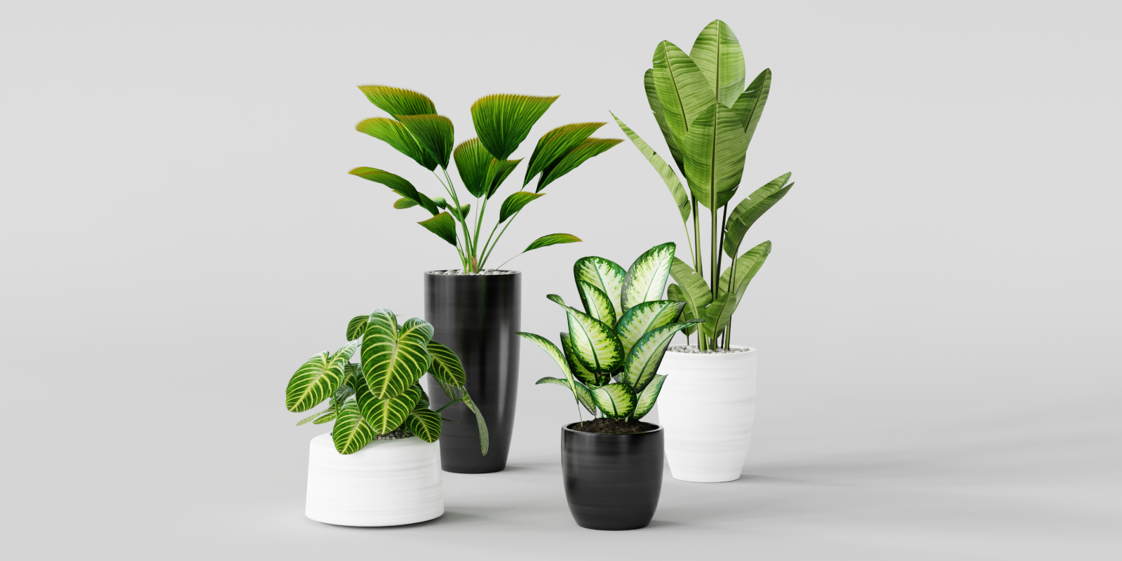 Plants Realistic Interior Plants In Pots Blender Market