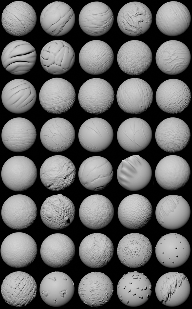 Organic brushes pack for blender Blender Market