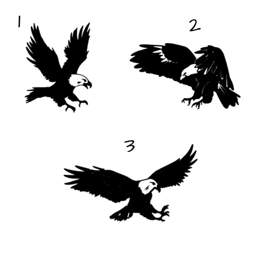 Custom Car Decals Small