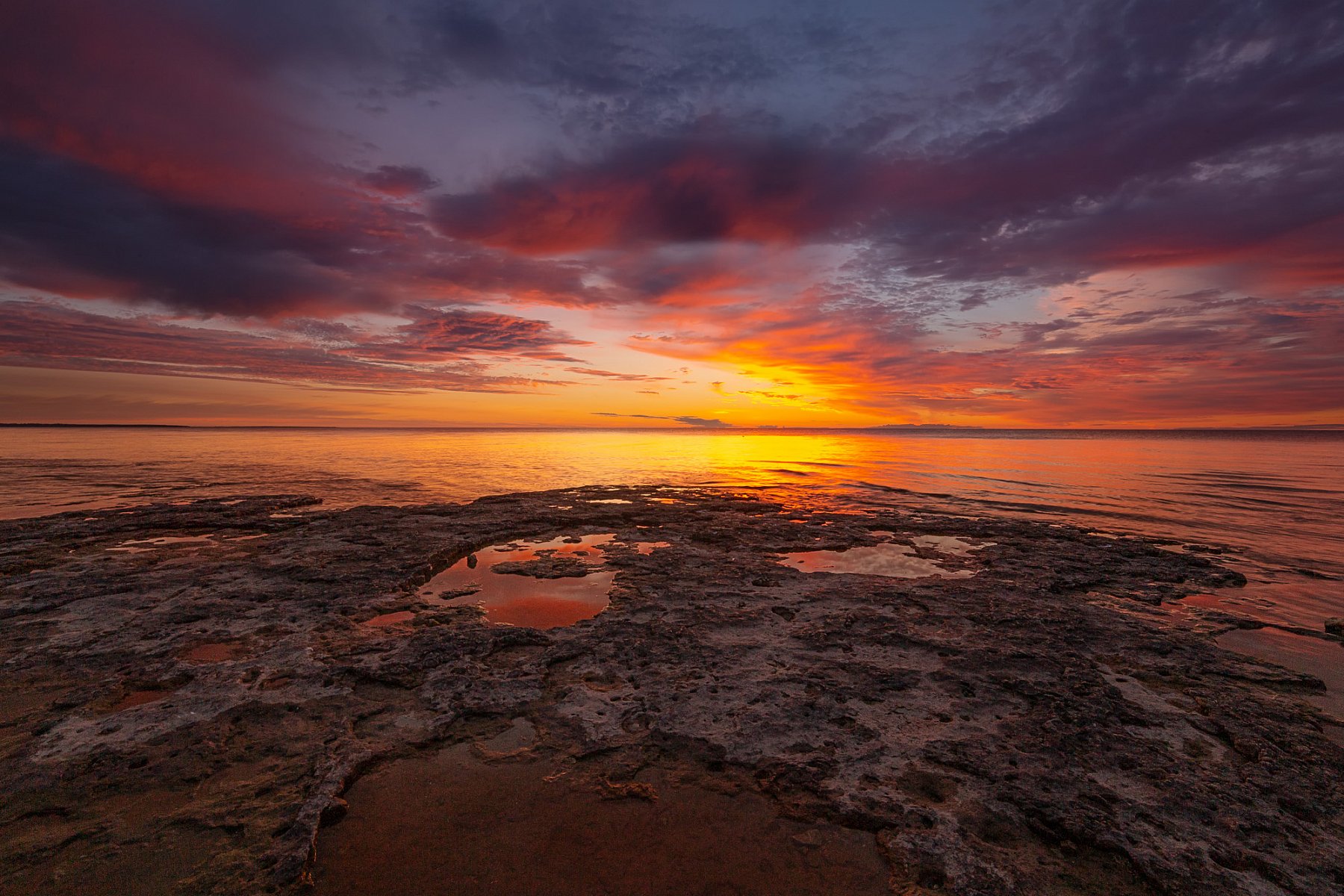 Rock shelf along Lake Michigan at dawn with shallow puddles reflecting warm sunrise color; scattered pools across pitted stone, lake horizon glowing.