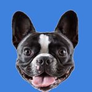 @stellathefrenchiebebe's Profile Picture