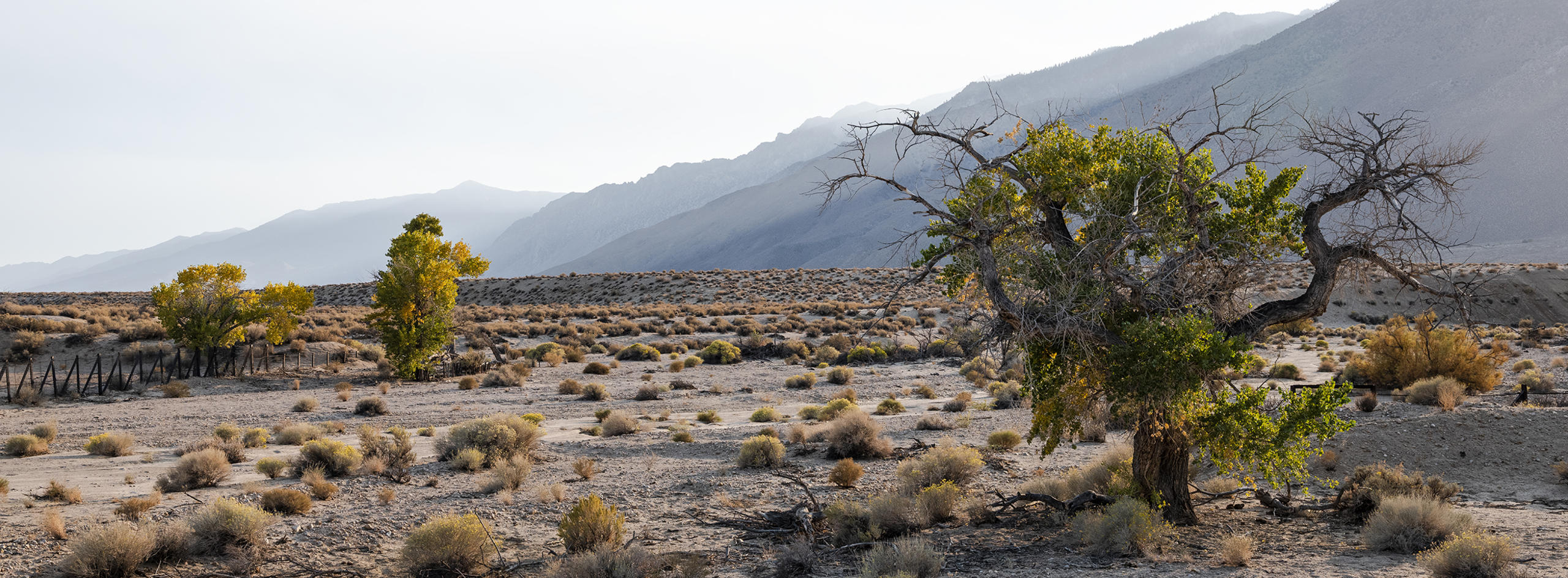The surprise reincarnation of Owens Lake California Sun