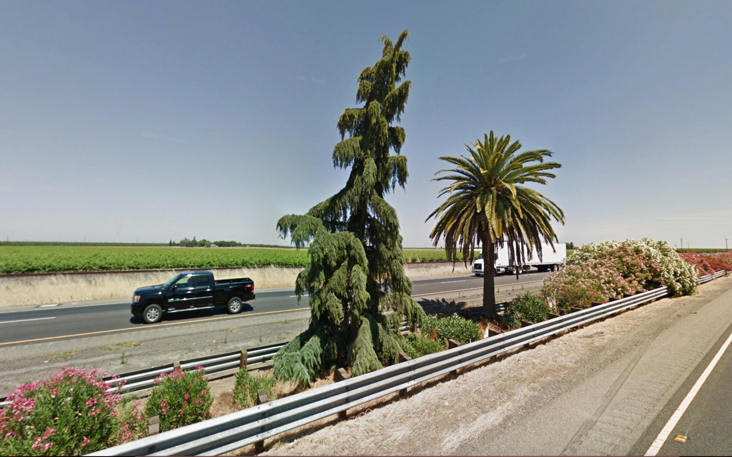 6 fascinating facts about California serenity and sourdough bread