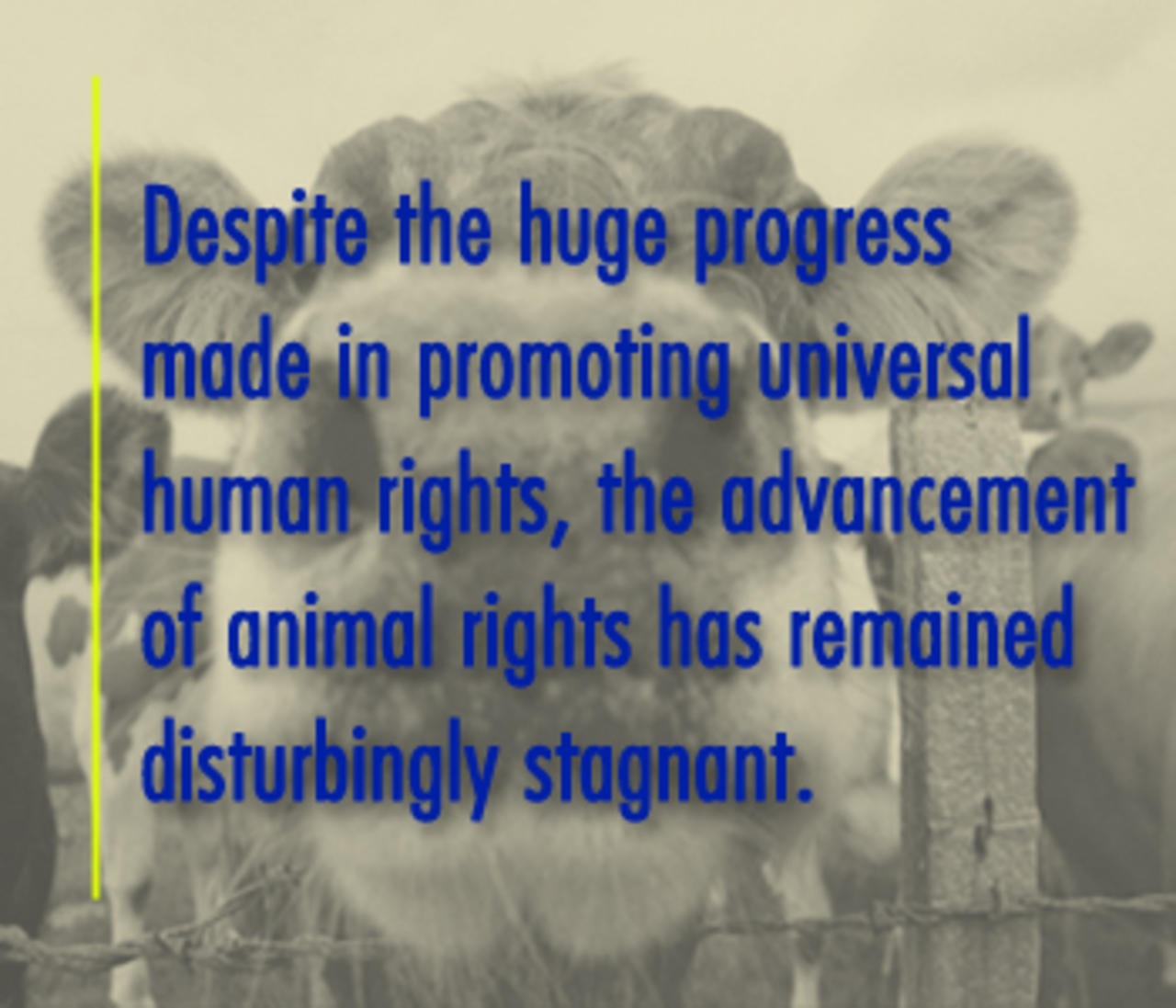 Ethics and Morality It's Right to Give Animals Rights KidSpirit