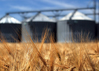 Here-Is-How-Translation-Services-Help-the-Agricultural-Industry_S.jpg