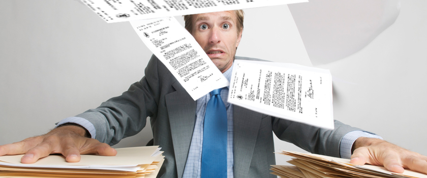 Dutch Document translation_L.jpg