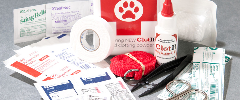 Guidelines-for-Making-Your-Own-First-Aid-Kit_L.jpg Guidelines-for-Making-Your-Own-First-Aid-Kit_L.jpg