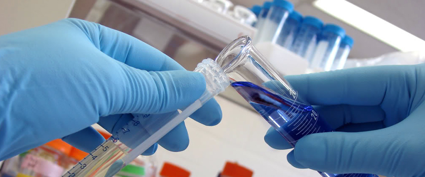 Ways Of Generating A Better Clinical Study With The Help Of Translation Services_L.jpg Ways Of Generating A Better Clinical Study With The Help Of Translation Services_L.jpg