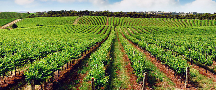 How-To-Plan-And-Fund-Your-New-Farming-Business_L.jpg