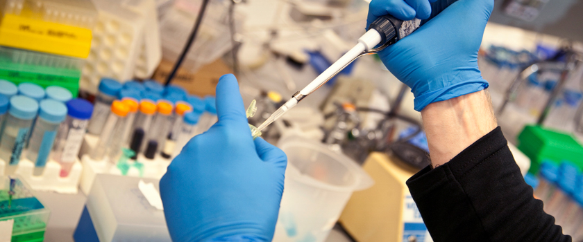 Enlightening-outcomes-of-the-Clinical-Researches_L.jpg