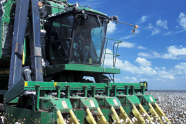Highlight-the-Different-Benefits-of-a-Successful-Agricultural-Sector_M.jpg