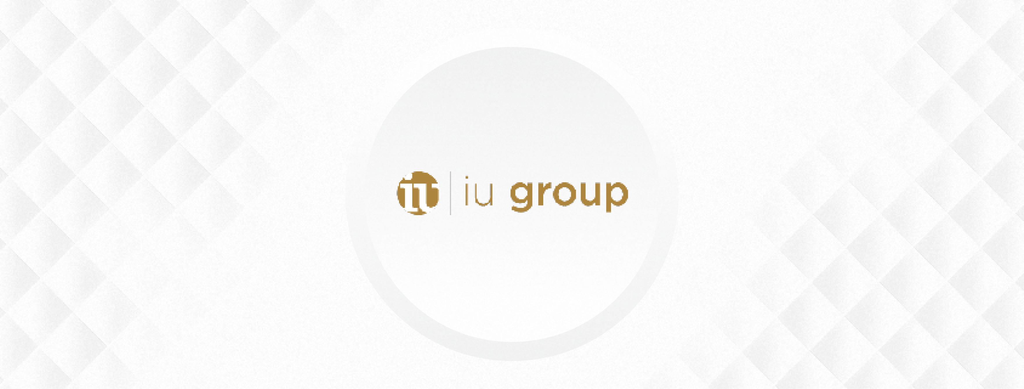 Interpreters Unlimited Inc