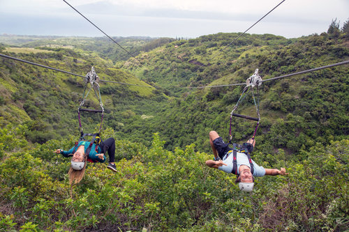 Product Kapalua 6 Line Zipline