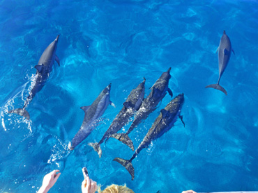 Product Adventure Snorkel