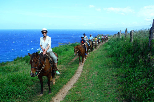 Product Waihee Valley Horseback Ride