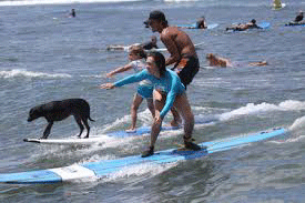 Product South Maui Surf Lesson