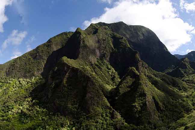 Product Best of Maui - Sips, Sites & Bites With Lunch