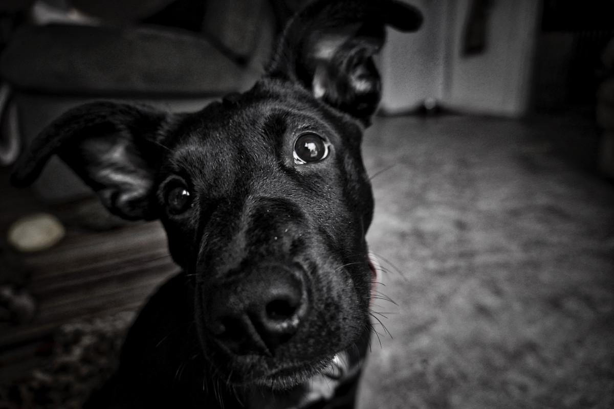 See What Others Say About Our Product