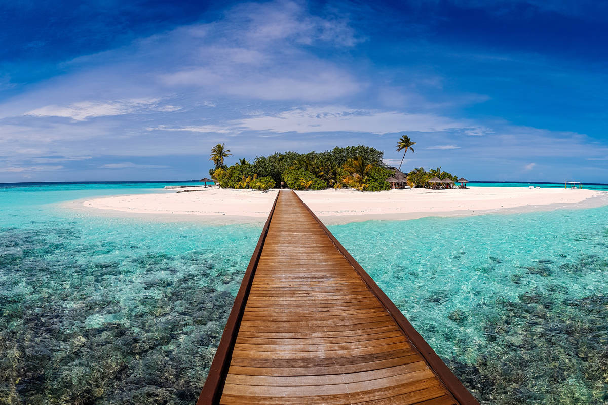 Activate A Lifestyle