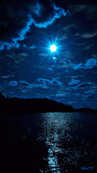 ACCUVIEW AlabamaRuss