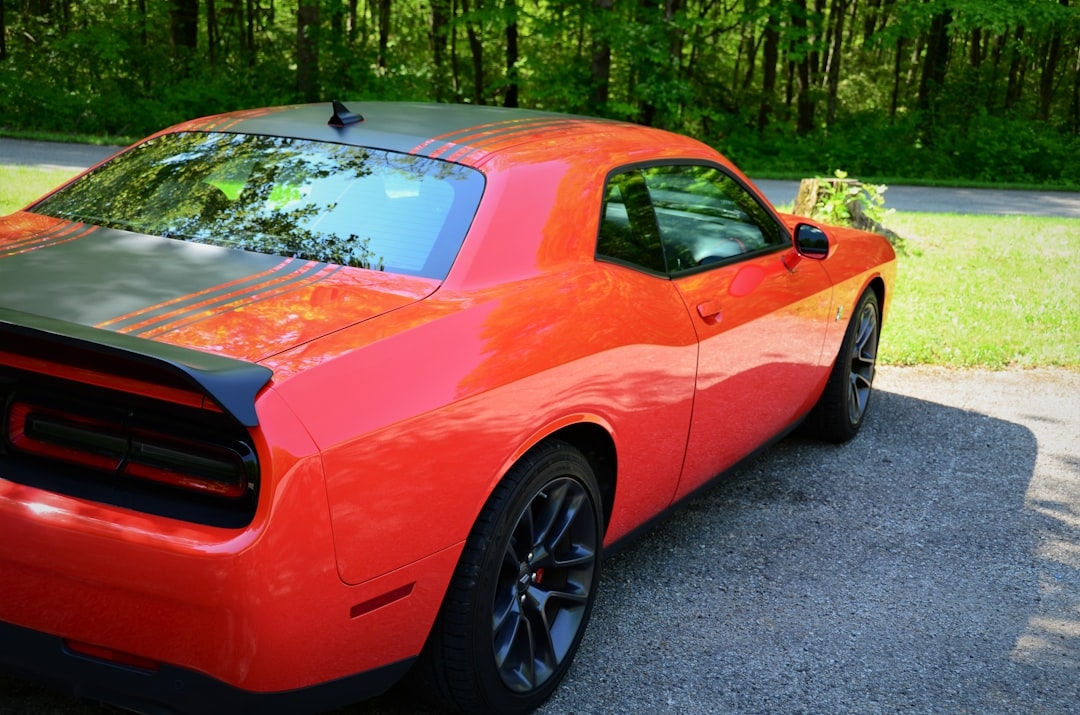 Exterior Cleaning San Antonio